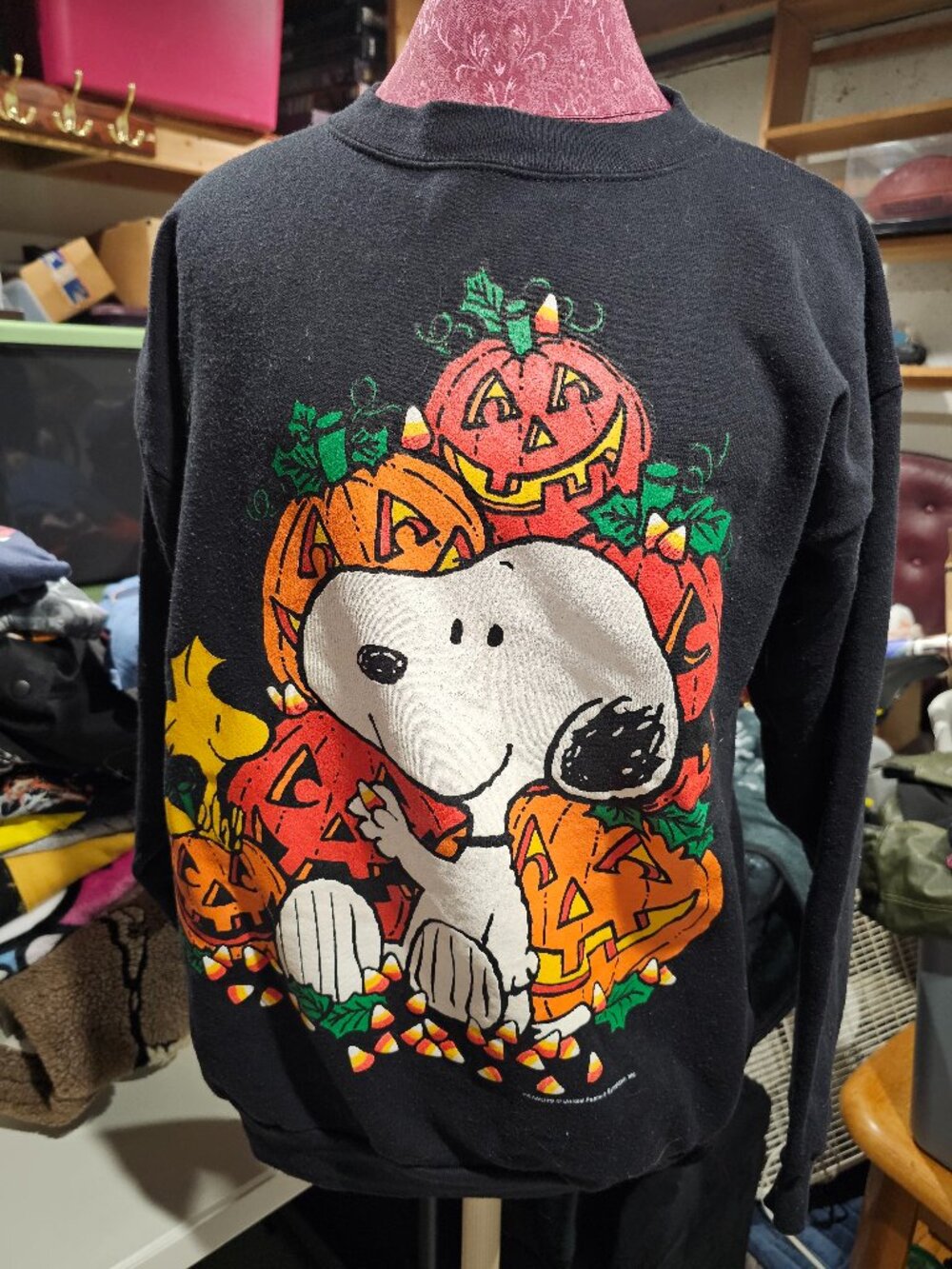 Vintage Peanuts Sweatshirt